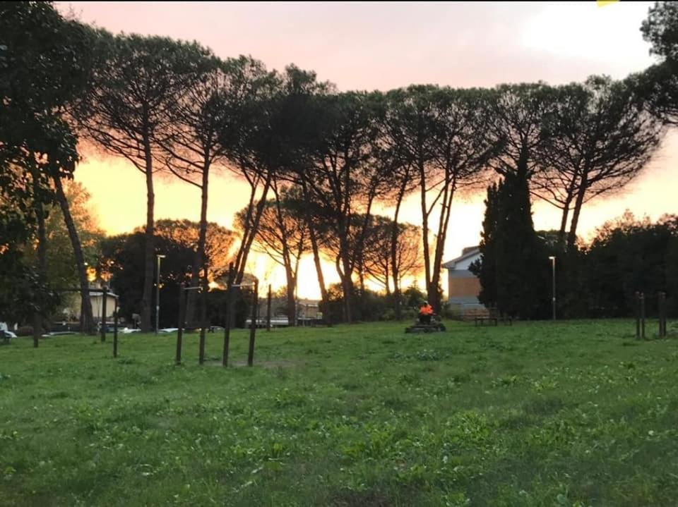 Affitto Due Camere, Due Bagni In Villa ローマ エクステリア 写真