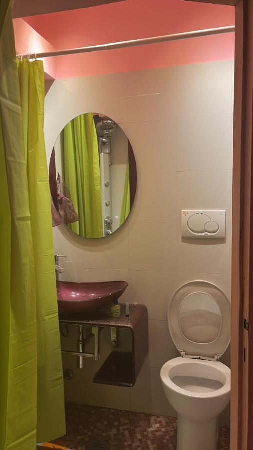 Affitto Due Camere, Due Bagni In Villa ローマ エクステリア 写真